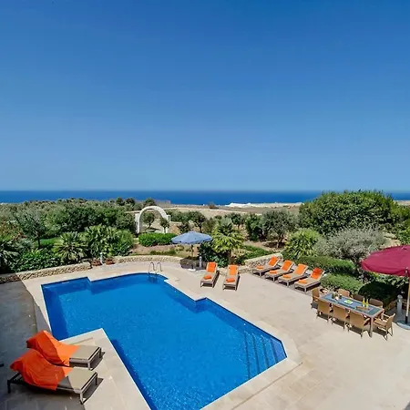 The Olives * סן לורנץ