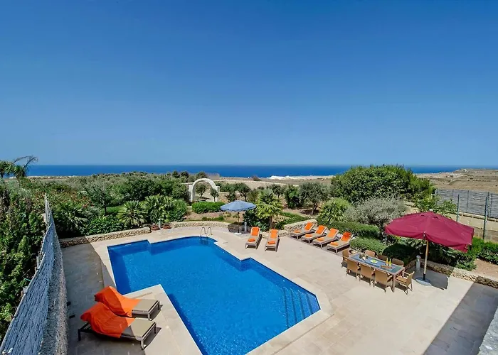 The Olives * 산로렌츠