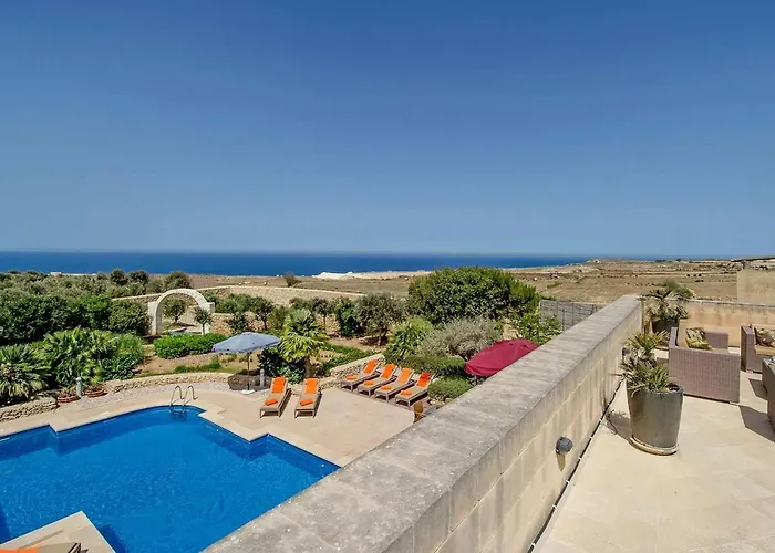 The Olives * 산로렌츠